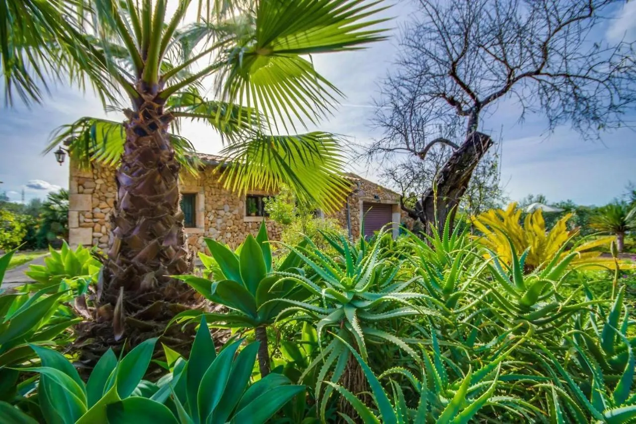 Country house Ideal Property Mallorca - Lina - Sa Figuera Blanca Buger